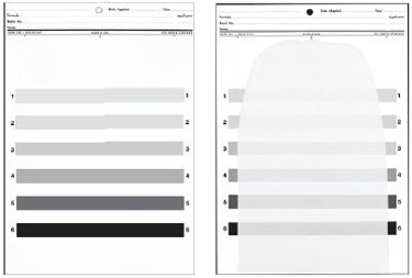 Gray Scale Hiding Power Chart Form 24B