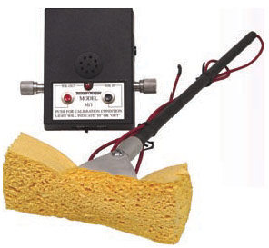 M/1 Holiday Detector